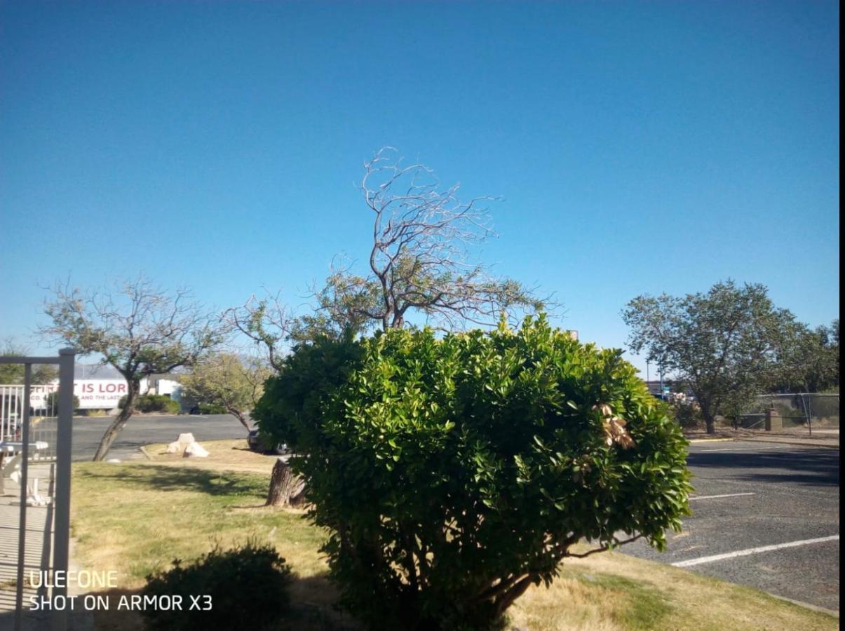 Willcox Extended Inn And Suites Bagian luar foto